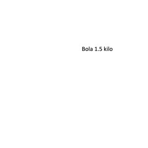 BOLSA DE 1.5 K