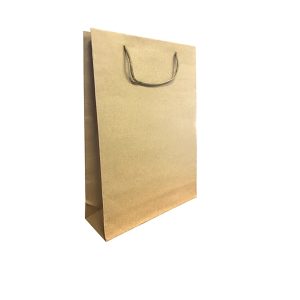 BOLSA REGALO PAPEL CHICA